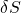 \delta S