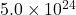5.0 \times 10^{24}