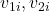 v_{1i}, v_{2i}