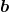 \boldsymbol{b}