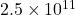 2.5 \times 10^{11}