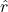 \hat{r}