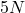 5 N