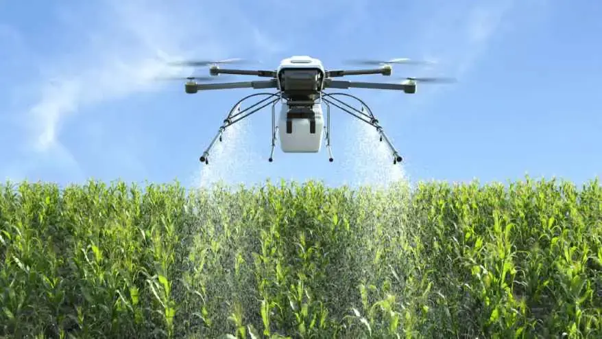 Agriculture 1