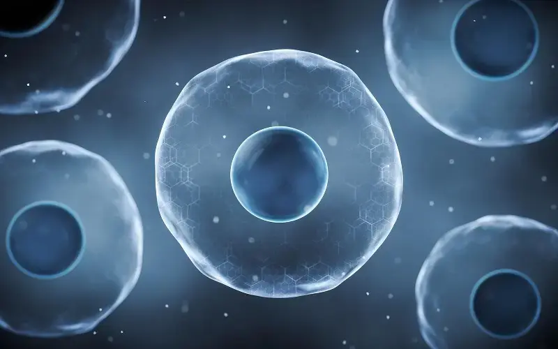 cell biology 1