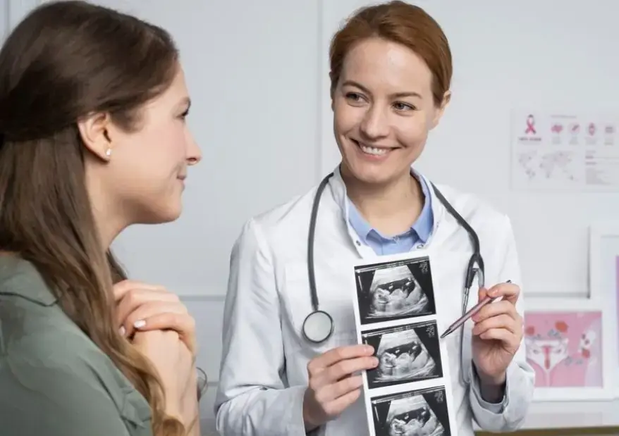 Human Embryology