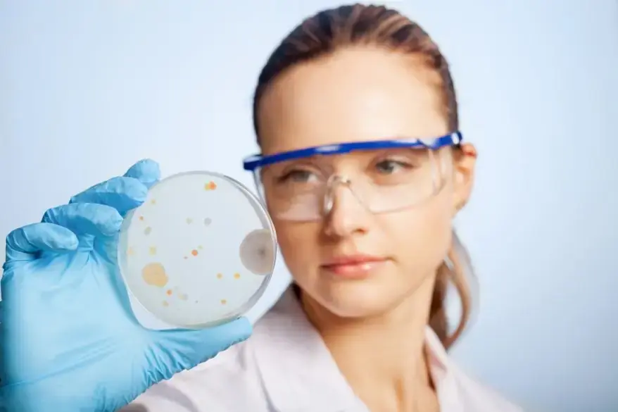 Cell Biology