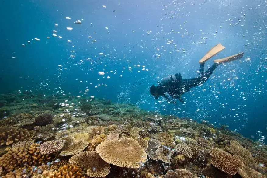 Marine Biology