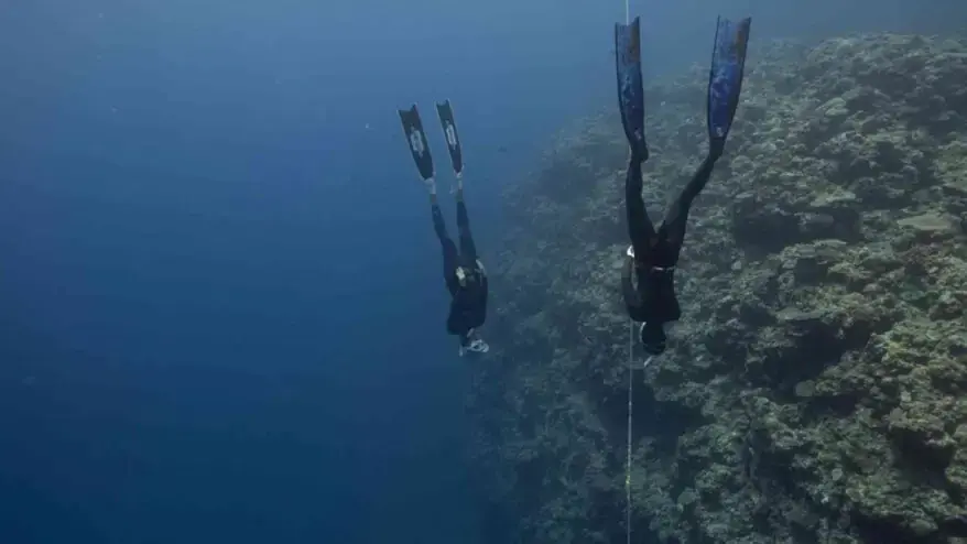 Study of Marine Life