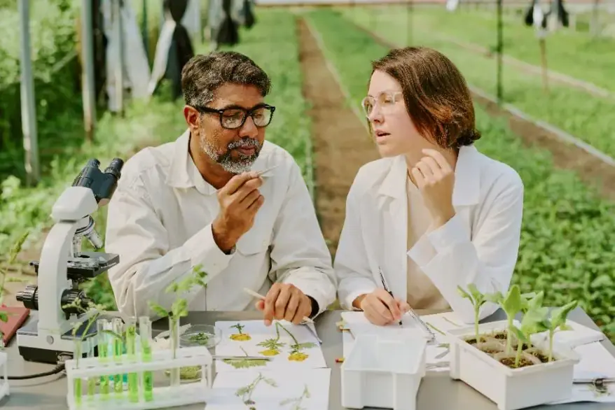 Green Chemistry and sustainable environment