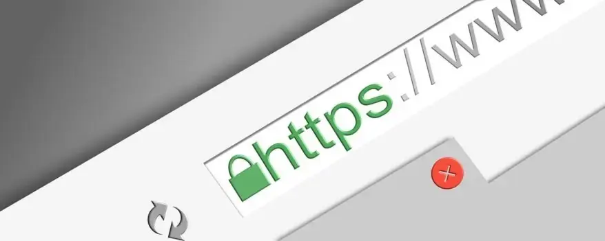 Domain name and Uniform Resource Locator (URL)