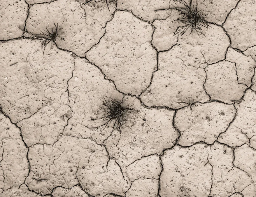 Threats driving Biodiversity Loss