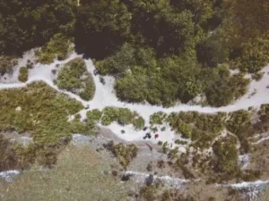 Biodiversity Hotspot