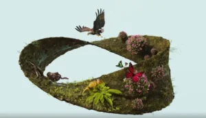 Genus and Species