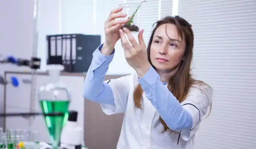Plant Tissue Types