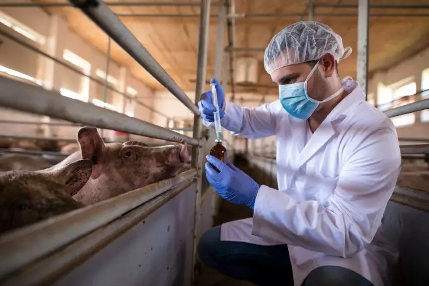 Types of Animal Tissues