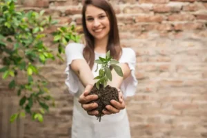 Plant Root Types