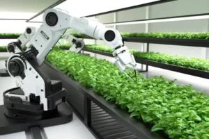 touch robot