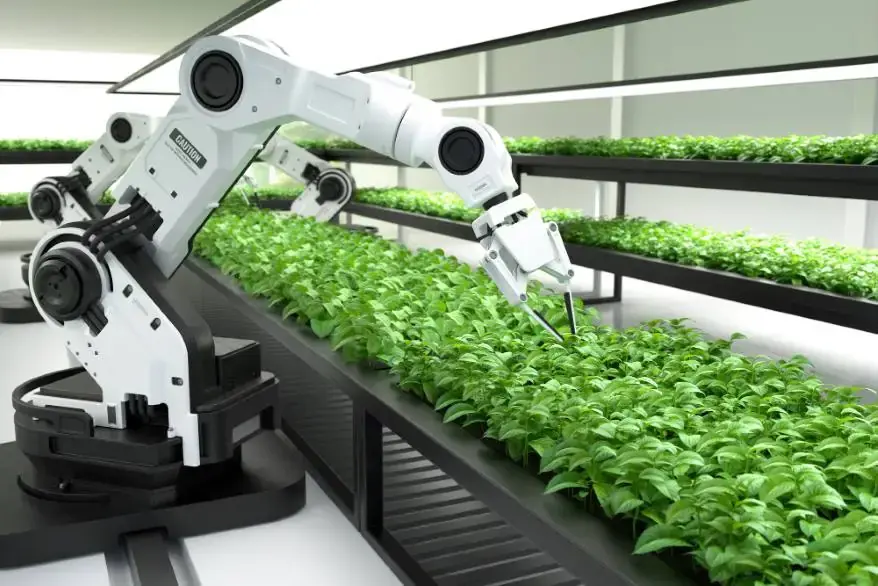 touch robot