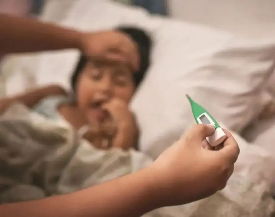 Common vector infection in humans