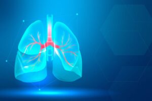 Respiratory System