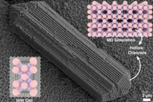 Hollow Crystal Structure (Credit: Shihao Zang/NYU)