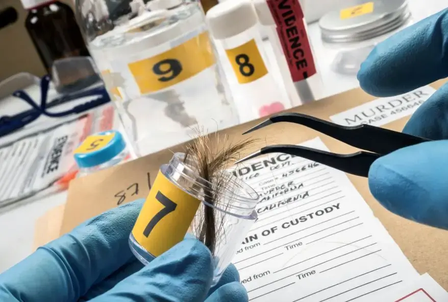 Top Forensic Science Careers