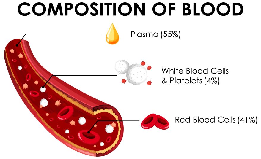 composition on blood