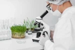 Molecular System Mimic Photosynthesis