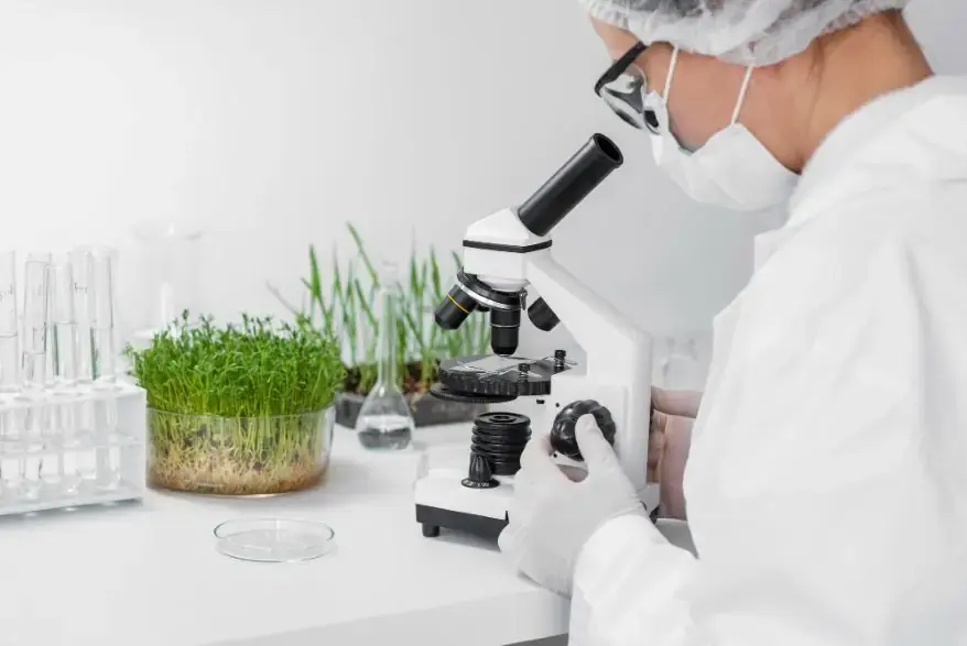 Molecular System Mimic Photosynthesis