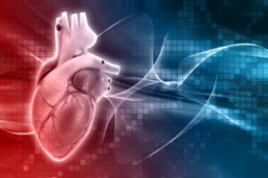 Cardiac Cycle