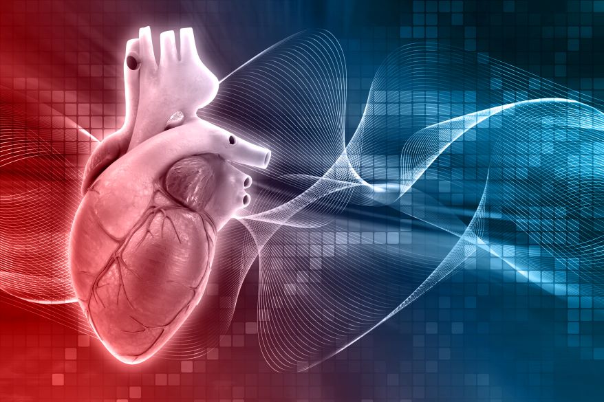 Cardiac Cycle