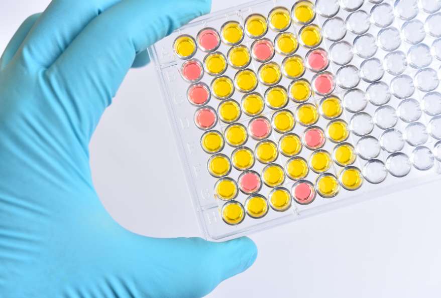 ELISA Kits