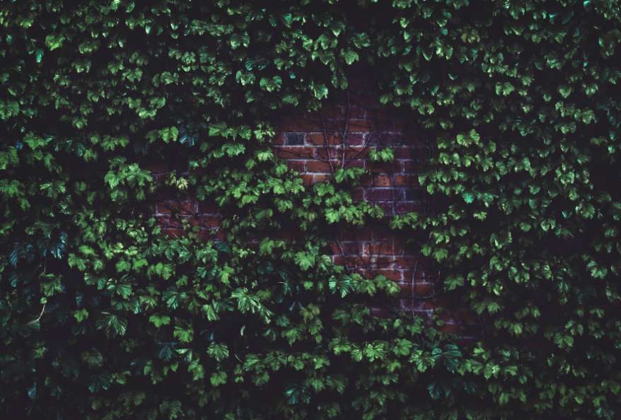 organic waste acoustic wall panel