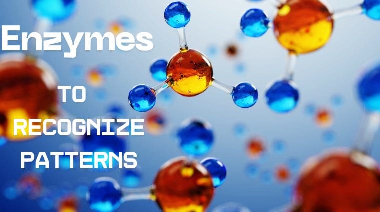 chemical computer enzyme network