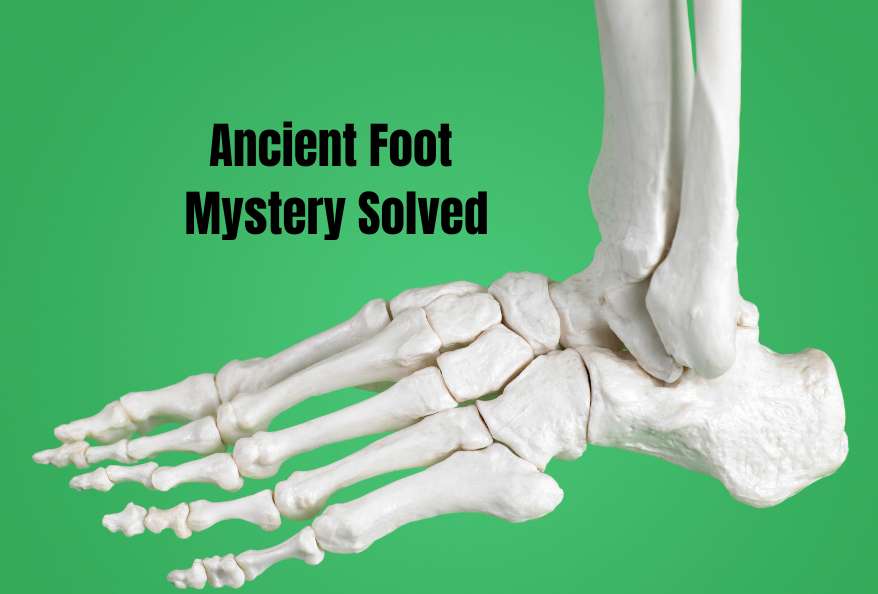 Ancient Foot Mystery Solved