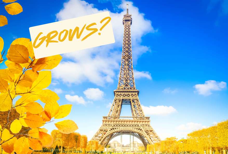 Eiffel Tower Grows in Summer