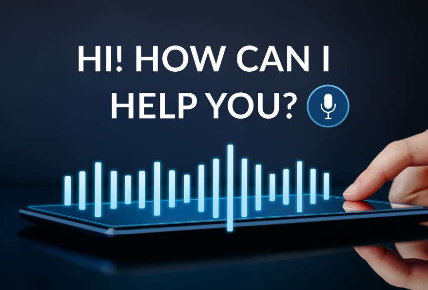 Voice Assistant