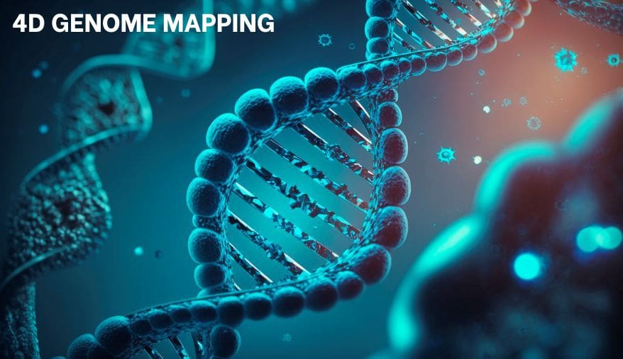 4D Nucleome