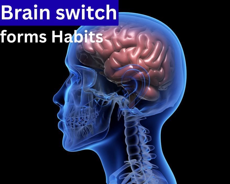 Habit button