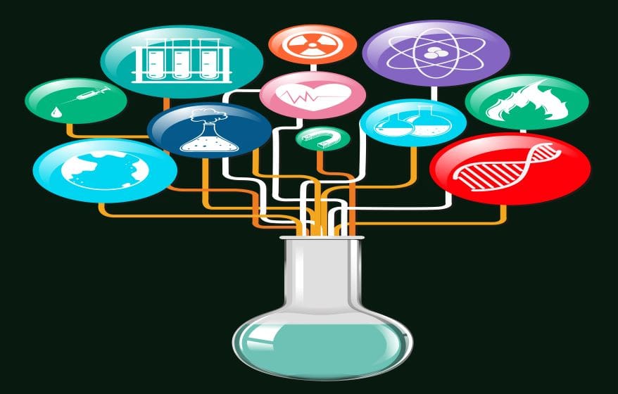Usage of Large Language Model