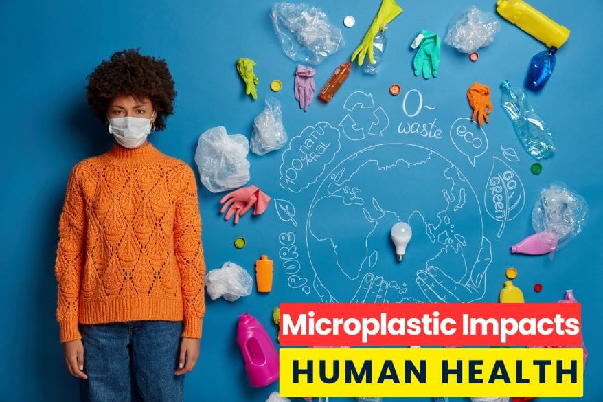 Microplastics Impact on Human Health