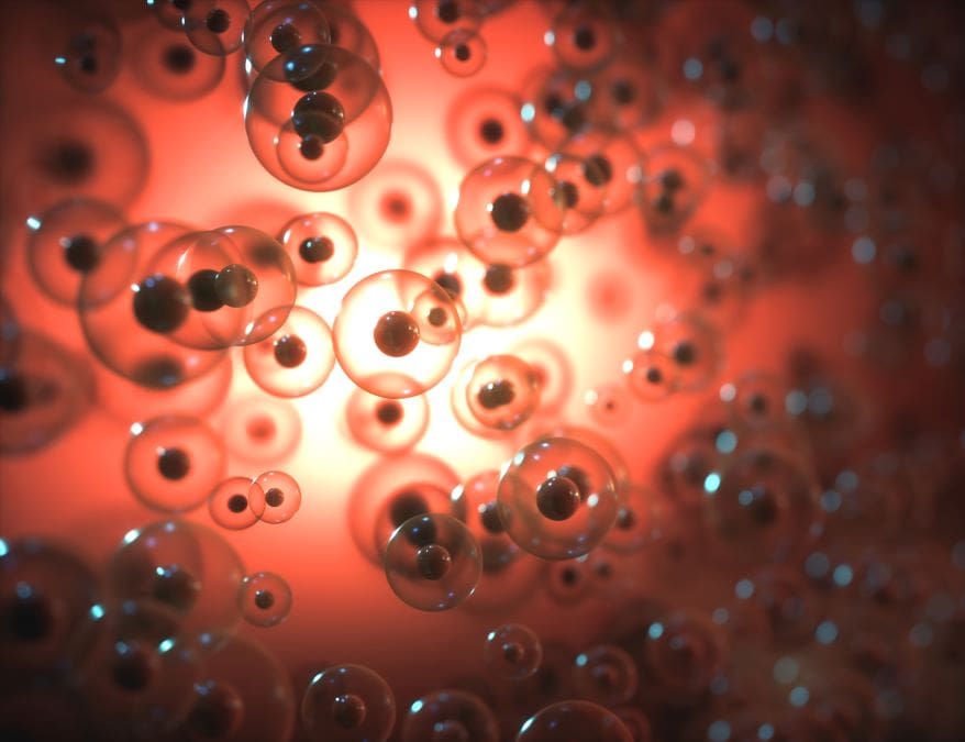 Nanomaterial induced mitochondria to recharge old cells
