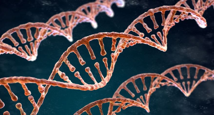 DNA