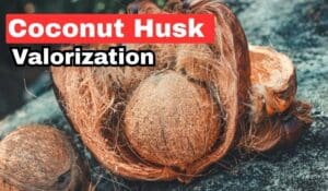 Coconut husk valorization