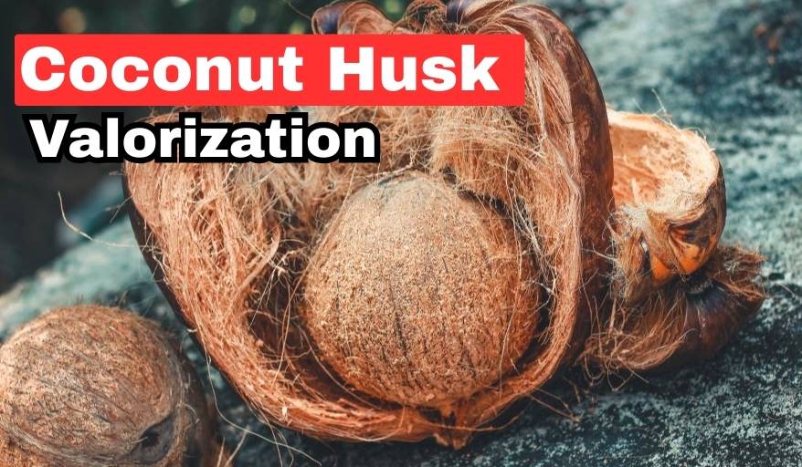 Coconut husk valorization