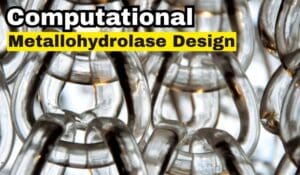 Computational Metallohydrolase Design