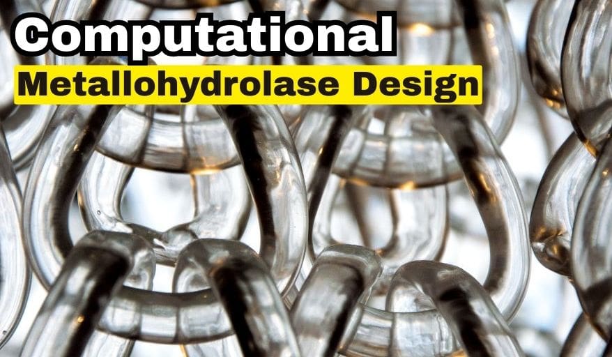 Computational Metallohydrolase Design