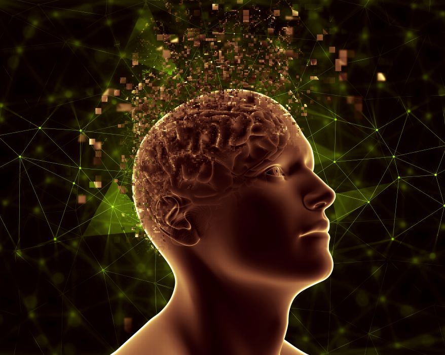 Neurones and Synapses