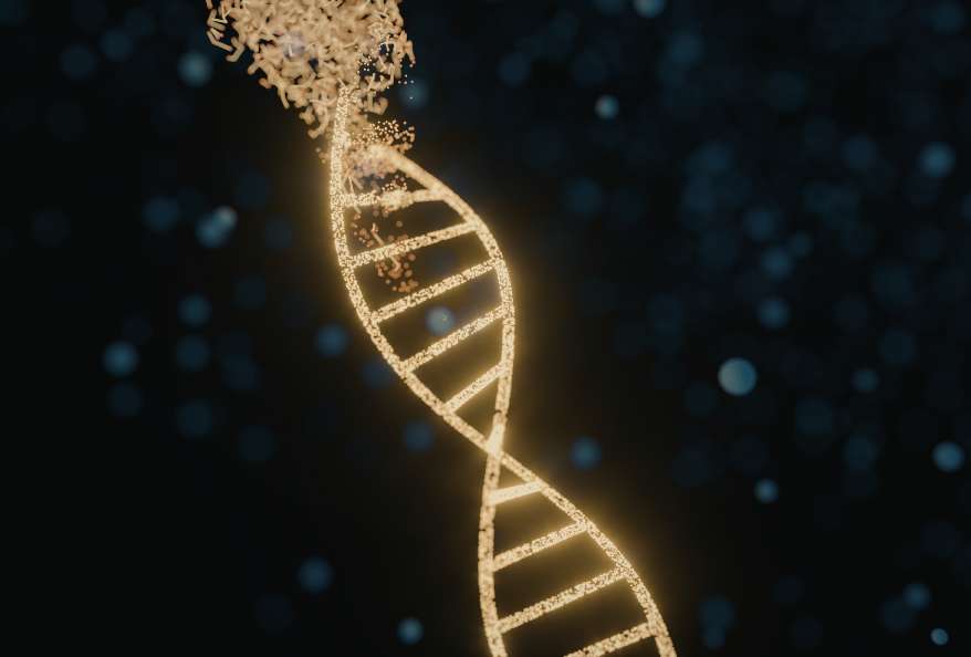 enzymatic DNA synthesis